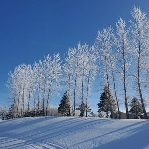 Meet your Posher, Laurel